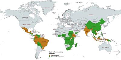 Coffee sustainability: leveraging collaborative breeding for variety improvement